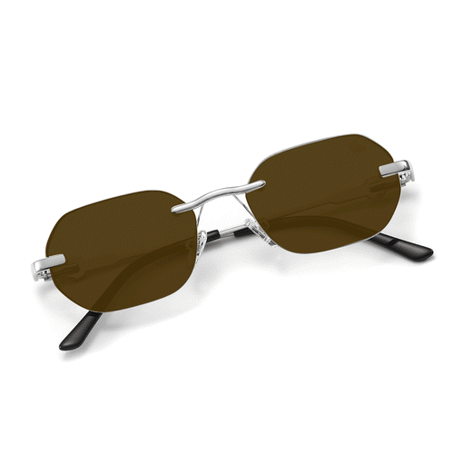 Willow Transition Brown | Silver